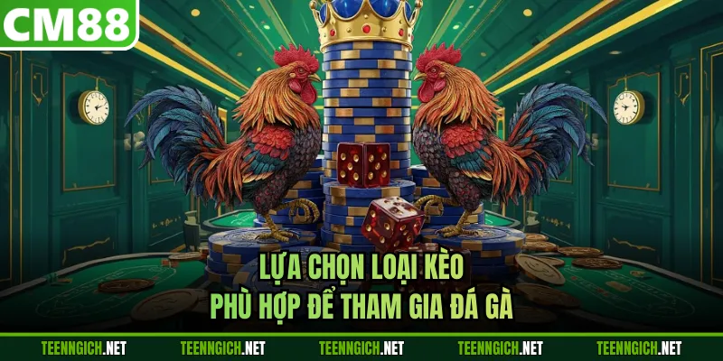 Lựa chọn loại kèo phù hợp để tham gia đá gà