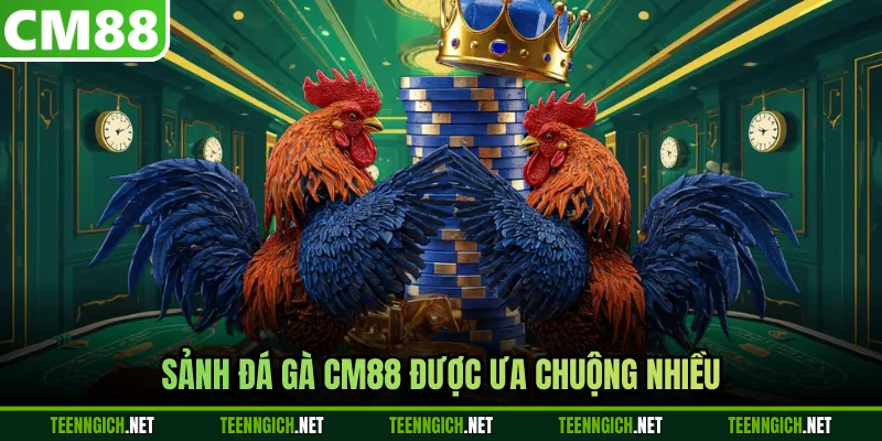 Sảnh đá gà CM88 được ưa chuộng nhiều